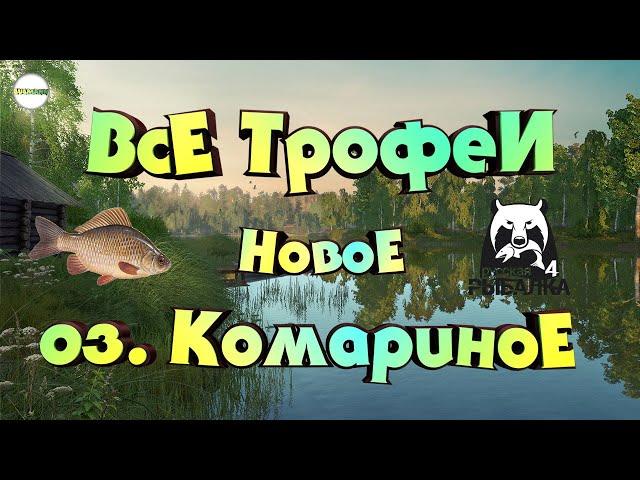 РУССКАЯ РЫБАЛКА 4 (RUSSIAN FISHING 4) - ВСЕ ТРОФЕИ. НОВОЕ ОЗ. КОМАРИНОЕ.