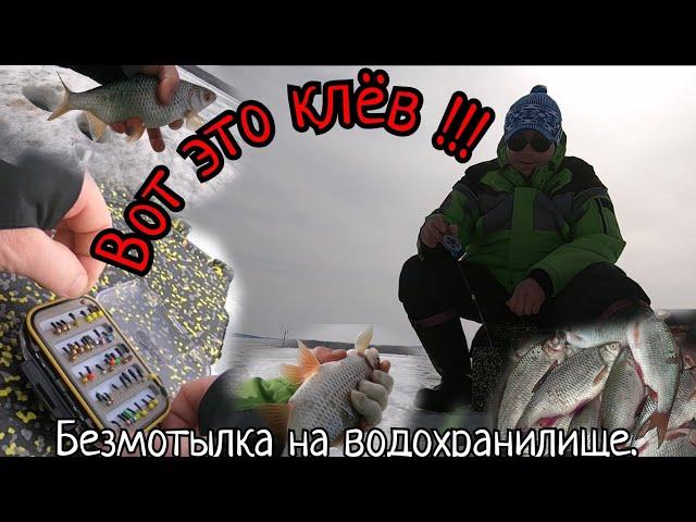 Вот это клёв!Безмотылка по последнему льду!