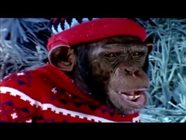 Lancelot Link E01 ~ There's No Business Like Snow Business