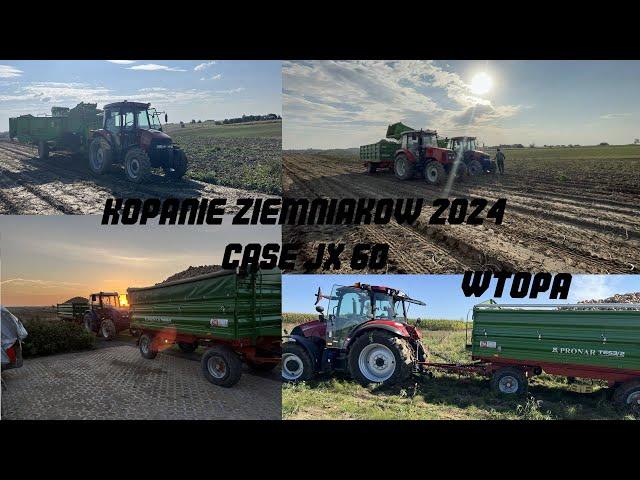 Kopanie ziemniaków 2024 cz1/2|case jx 60&wuhlmaus1533P netagco case farmal 110c lekka wtopa