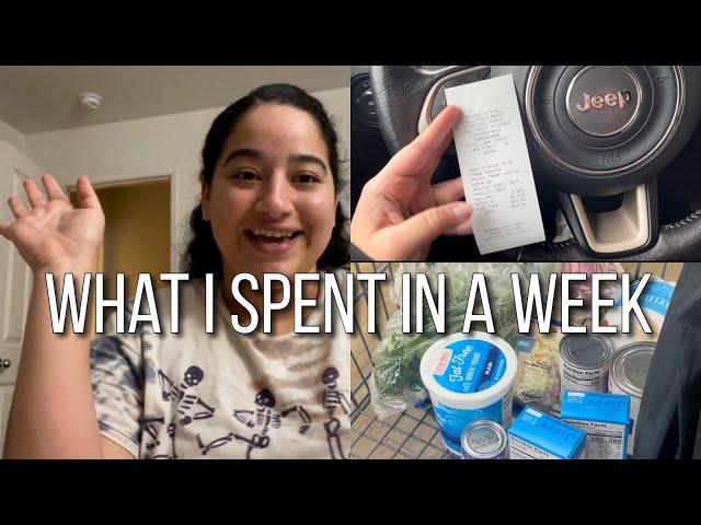 What I Spent in a Week: Vlog Style | SoCal Budgeter