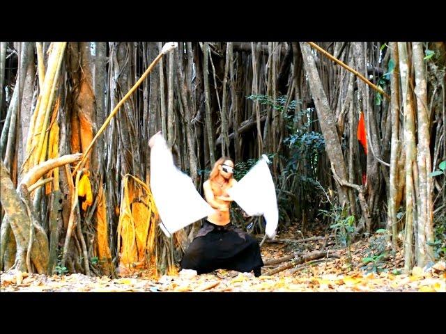 Igor Banyan Tree Flags Flow