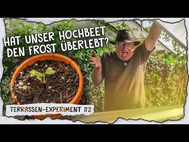 Hochbeet Update & Beeren Anbau auf unserer Terrasse!  | Episode 2