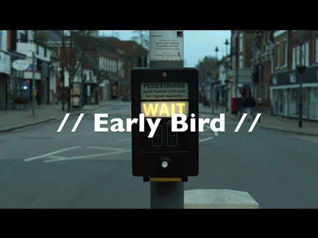 Early Bird //