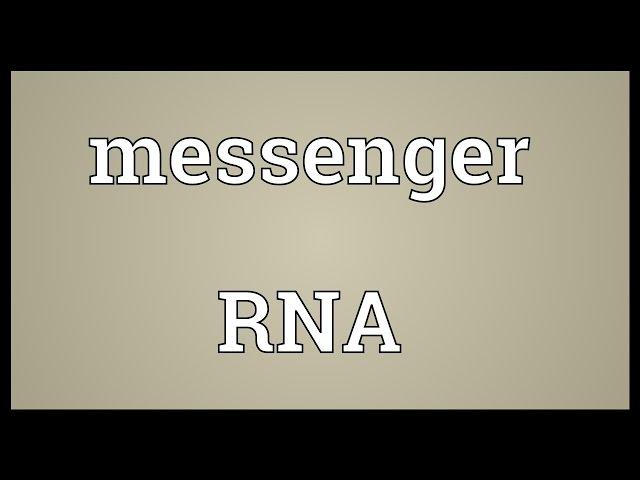 Messenger RNA Meaning