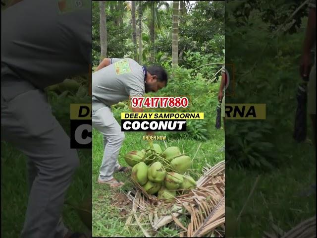 Transform your land with Deejay Sampoorna – the proven hybrid for high coconut yield. Call now!
