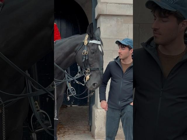 NOBODY EXPECTED THIS ️ | Horse Guards, Royal guard, Kings Guard, Horse, London, 2024