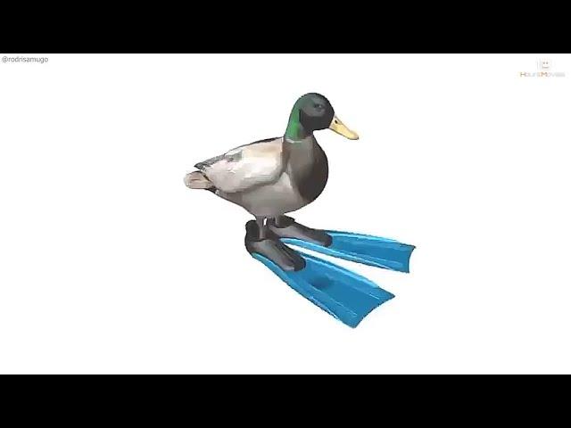Duck Spinning to Geometry Dash Practice Mode Theme for 10 Hours