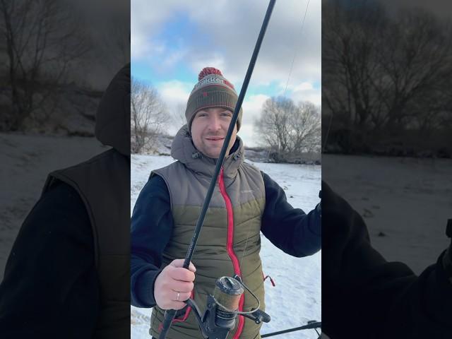 Карповое удилище Carptoday Maestro M-1 10ft 3,5lb