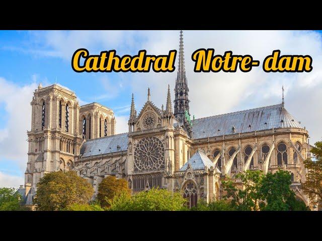 Notre Dame Cathedral from fire to reconstruction #notredame #cathedral #fire #reconstruction