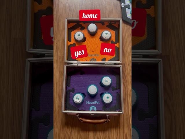 Have buttons, will travel!  What are the last three buttons we should add?  #talkingdog