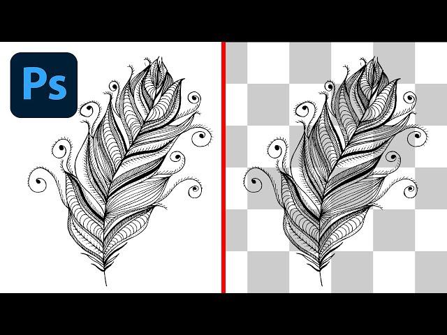 How To Remove a White Background From  Drawings in Photoshop