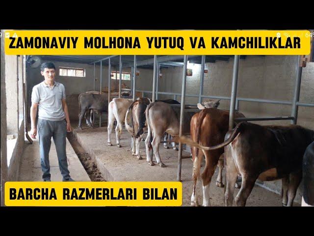 Zamonaviy molhona qurish +99891.183.55.57 yutuq va kamchiliklar.