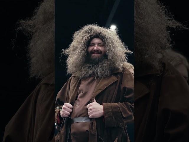 Hagrid Cosplay Comicconholland 2024