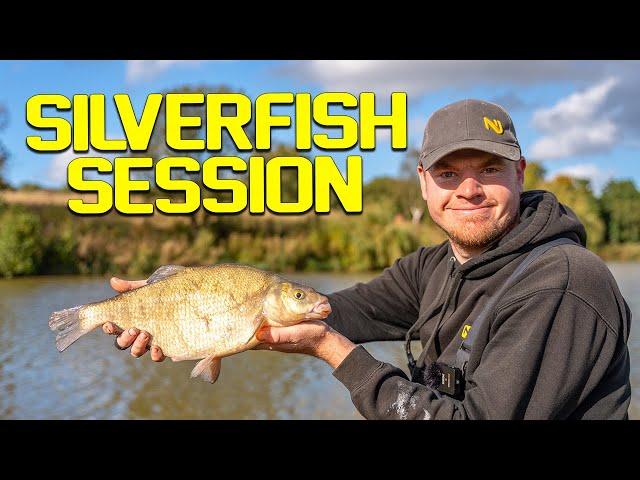 Pole Fishing For Skimmers | (session Video)