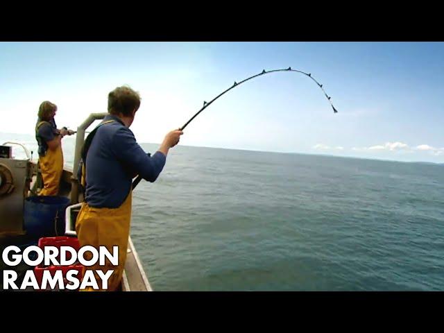 Gordon Ramsay Fishes & Cooks Conger Eel | Gordon Ramsay