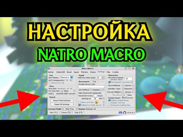 ЛУЧШИЕ НАСТРОЙКИ МАКРОСА ДЛЯ СИНЕЙ ПЫЛЬЦЫ. 40Т/ЧАС  в Bee Swarm Simulator