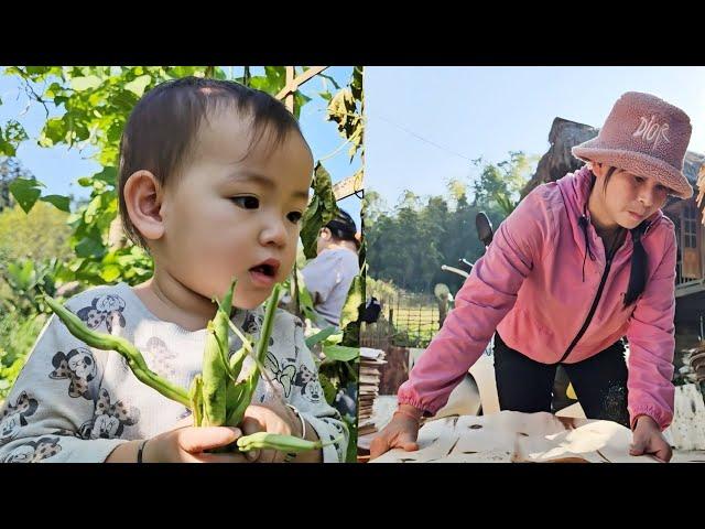 Drying wooden boards and gardening with daughter to grow vegetables