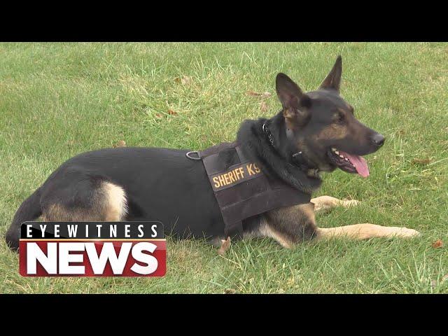 WTVO Eyewitness News for December 4th, 2023 (Full Broadcast)