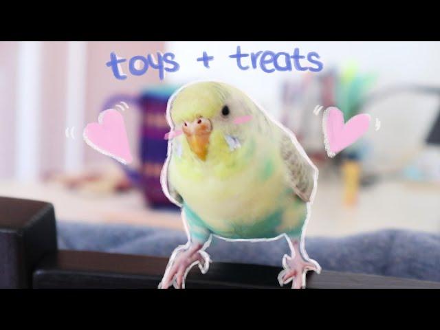 Budgie Toys and Treats Unboxing |  Amazon Haul 