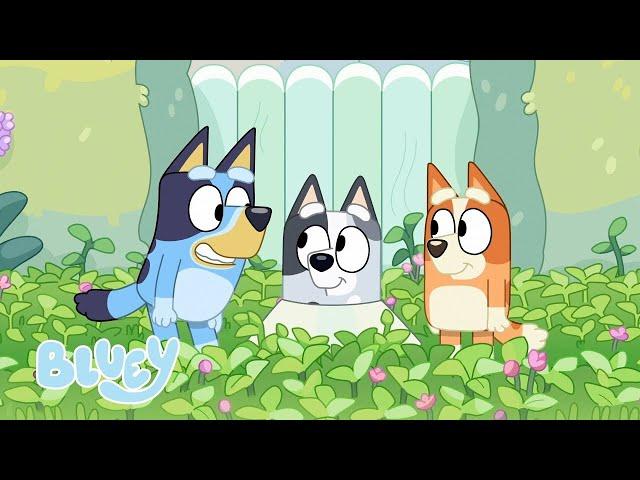 Juegos de patio | Bluey Canal Oficial en Castellano