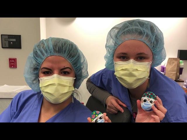 Painted Rocks for Healthcare Heroes