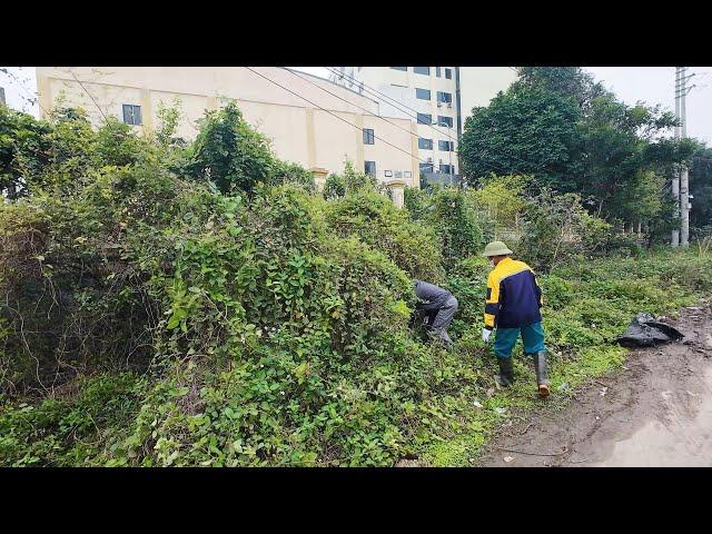 Shocking Discovery! What Caused the Road to Be Encroached Upon While Cleaning the Sidewalk?