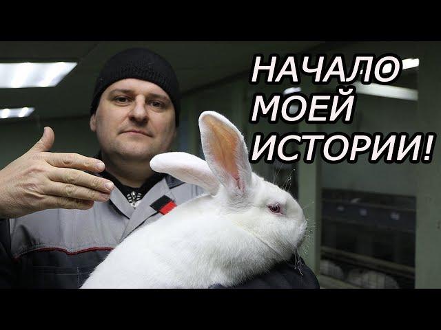 С чего все началось!