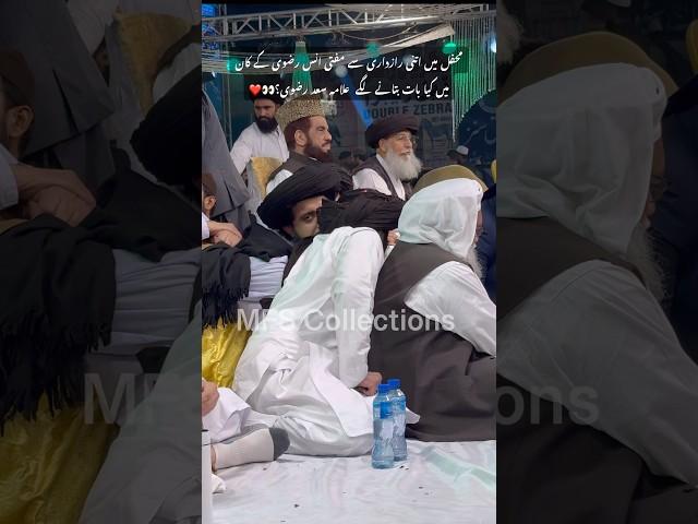 ️| Hafiz Saad Hussain Rizvi | Mufti Hafiz Anas Hussain Rizvi | #allamakhadimhussainrizvi