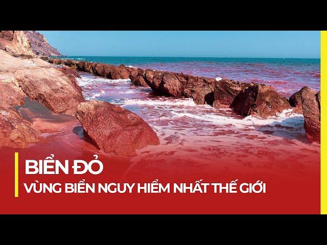 BIỂN ĐỎ: VÙNG BIỂN NGUY HIỂM NHẤT THẾ GIỚI
