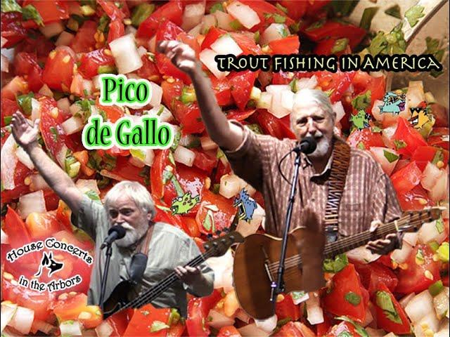 "Pico de Gallo" live performance by Trout Fishing in America