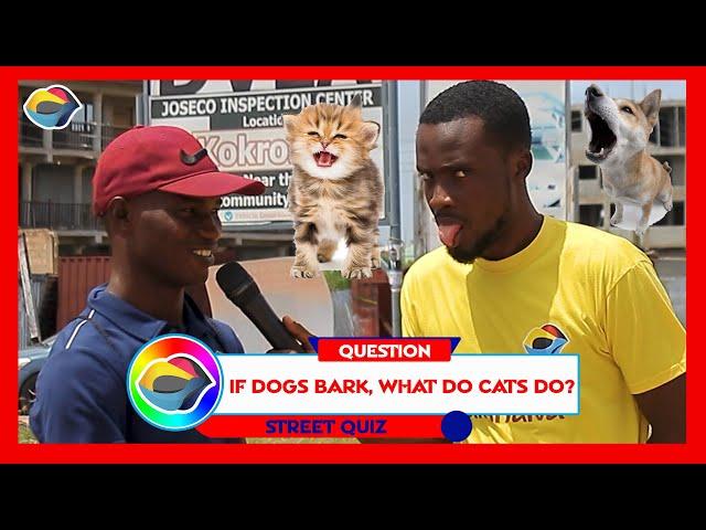 If Dogs BARK, What Do Cats Do? | Street Quiz | Funny Videos | Funny African Videos | African Comedy