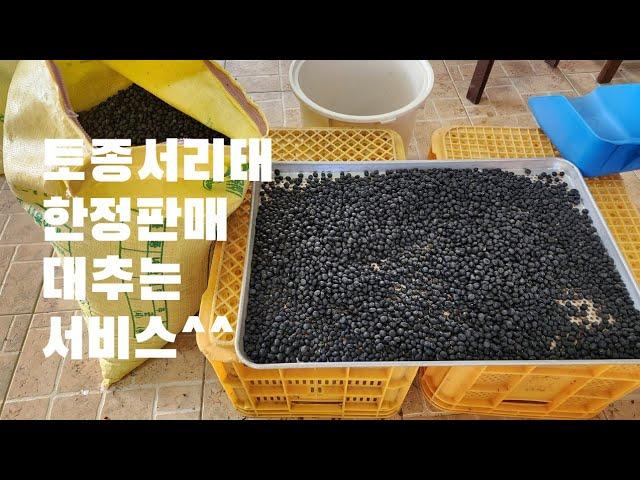 #토종서리태 5킬로씩 한정 판매  종료합니다.