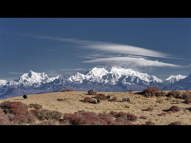 SANDAKPHU DARJEELING 2022 Trek