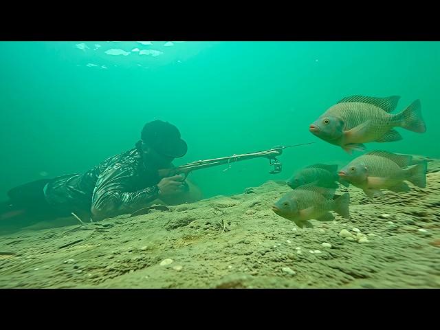 Fishing and cooking along a beautiful crystal-clear river and camping, part 3