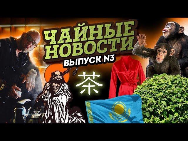 Зачем обезьяны собирают чай? Какой улун круче других? Чай-антистресс и другие ЧАЙНЫЕ НОВОСТИ#3