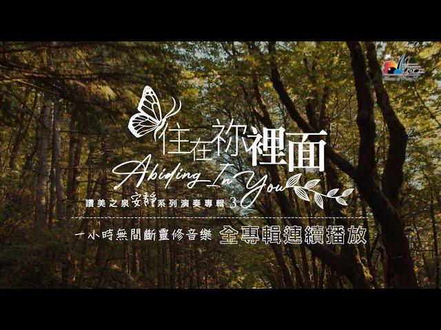 一小時【靈修音樂 Soaking Music】全專輯連續播放 「住在祢裡面」Abiding In You 讚美之泉安靜系列 (3) Devotional Instrumental Album