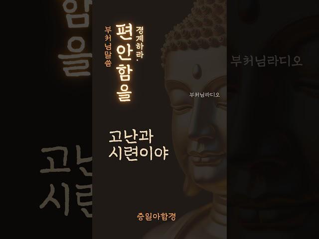 편안함을 경계하라 | 부처님말씀 | 증일아함경 | 석가모니 부처님 | 명상의말씀