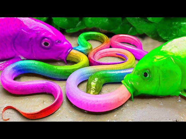 Funny stop-motion Animation LEGO FISH | Baby Shark, Rainbow Baby Fish | Mukbang sea crab, catfish