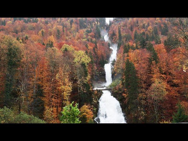 Switzerland Travel | Giessbach Falls Brienz.