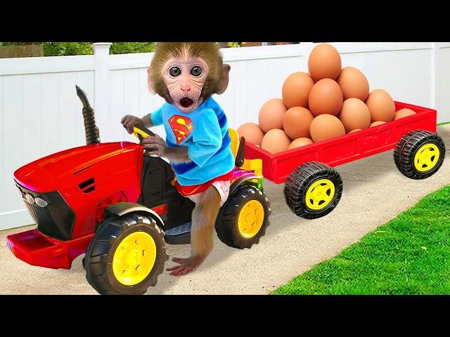 Monkey Baby Bon Bon drives egg cart go to the farm and bathes with duckling in the toilet