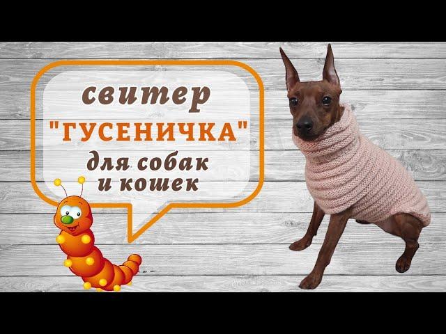 Свитер "Гусеничка" для собак и кошек