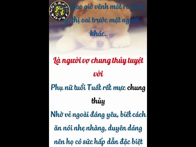 Đàn bà TUỔI TUẤT là người vợ tốt nhất | Blog Tử Vi