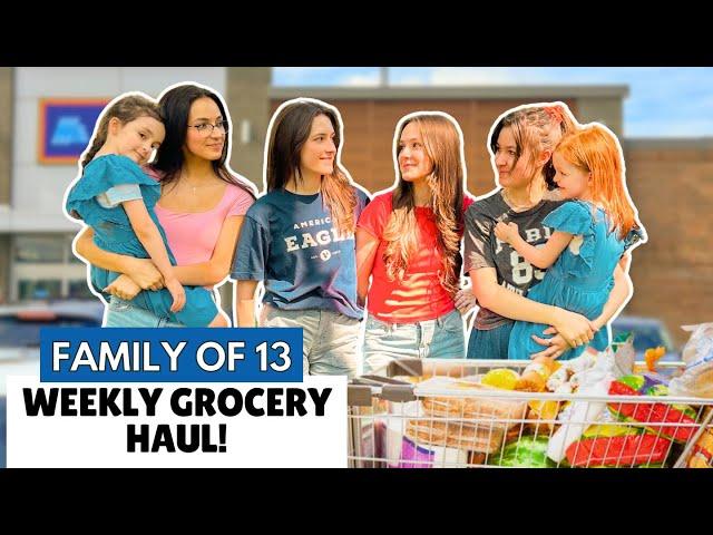 HUGE ALDI HAUL | STOCKING UP FOR MY FAMILY OF 13