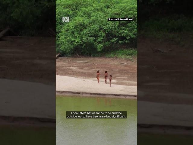 Rare sighting of an uncontacted indigenous tribe in Peru | ABC News