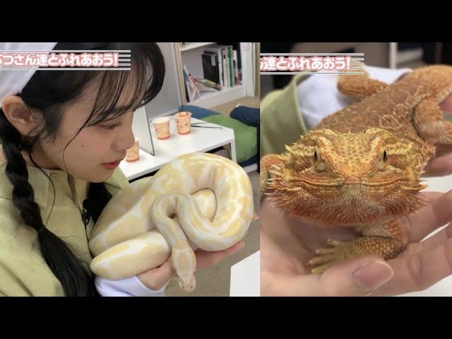 [ENG] Moepi, Haru-chan visit Animal Cafe. Moepi wants to bring home everything (Kumamama)