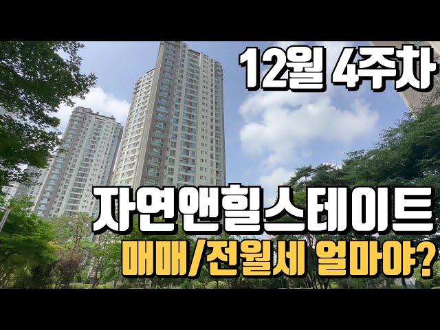 12월4주차) 자연앤힐스테이트 매매/전세/월세 가격입니다.