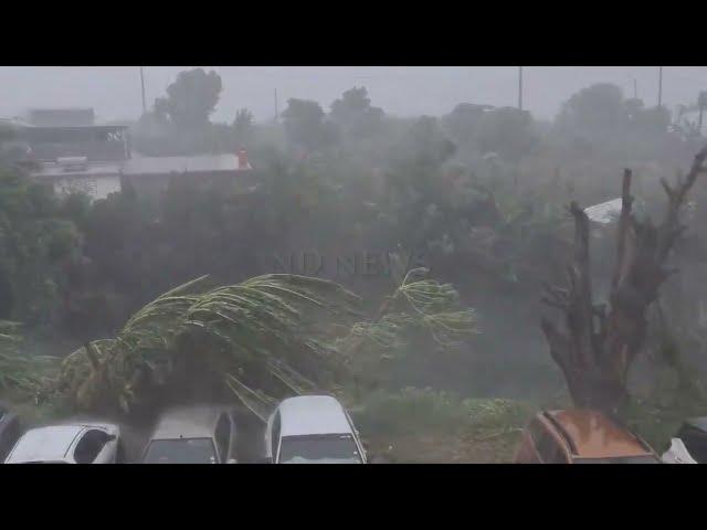 The strongest hurricane of 2024!! Cyclone Belal wreaks havoc in Mauritius and Reunion!