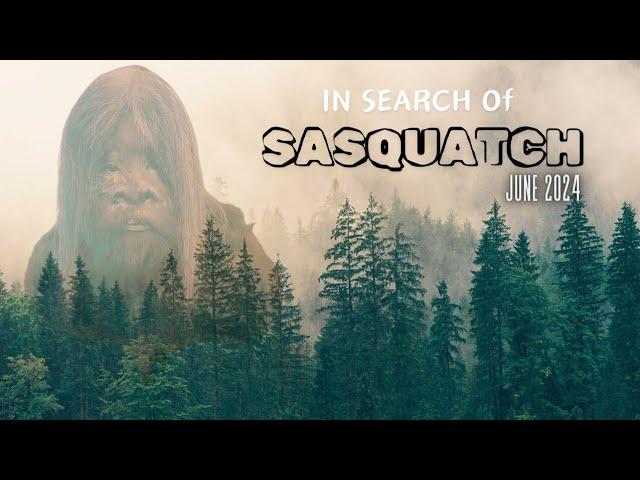 In Search of Sasquatch  |  June 2024