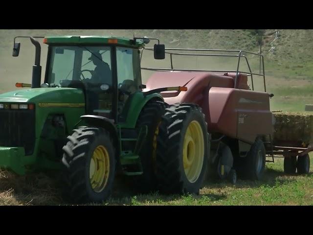 Kansas Man Pleads Guilty to Hay Scam in Montana and Wyoming